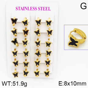 Stainless Steel Earrings  2E4000770ajma-446