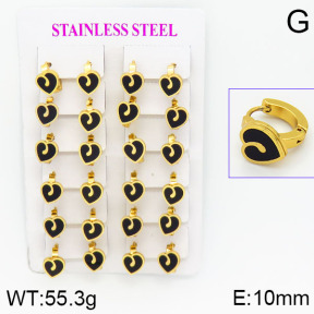 Stainless Steel Earrings  2E4000771ajma-446