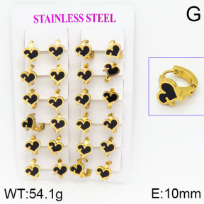 Stainless Steel Earrings  2E4000775ajma-446