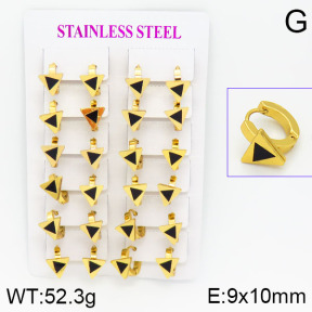 Stainless Steel Earrings  2E4000776ajma-446