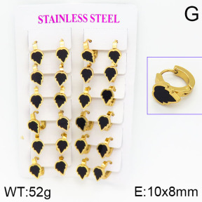 Stainless Steel Earrings  2E4000779ajma-446