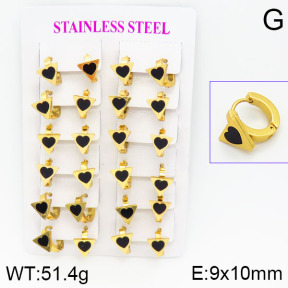 Stainless Steel Earrings  2E4000780ajma-446