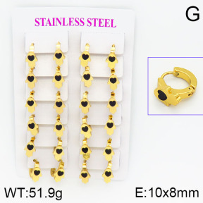 Stainless Steel Earrings  2E4000781ajma-446