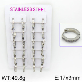 Stainless Steel Earrings  2E4000783hbob-387