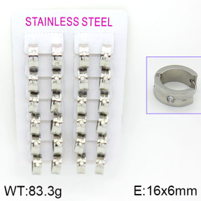 Stainless Steel Earrings  2E4000784alka-387