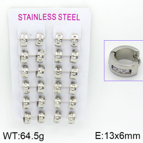 Stainless Steel Earrings  2E4000785amaa-387
