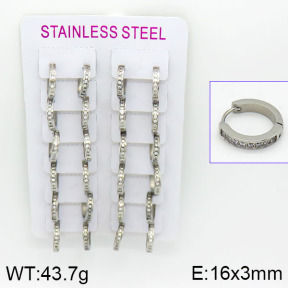 Stainless Steel Earrings  2E4000786hbob-387