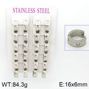 Stainless Steel Earrings  2E4000787amaa-387