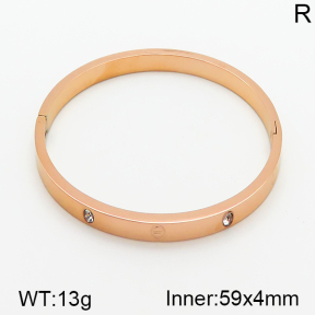 Stainless Steel Bangle  5BA400490bbov-328