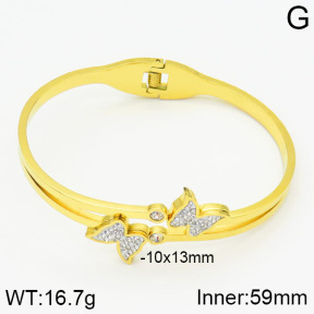 Stainless Steel Bangle  2BA400279ahjb-239