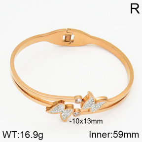 Stainless Steel Bangle  2BA400280ahjb-239