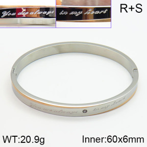 Stainless Steel Bangle  2BA400288bhva-239