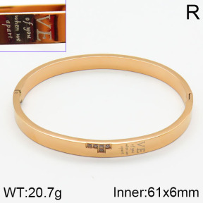 Stainless Steel Bangle  2BA400291bhia-239