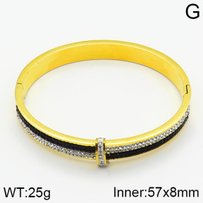 Stainless Steel Bangle  2BA400300ahlv-239