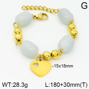 Stainless Steel Bracelet  2B4000686vbpb-685