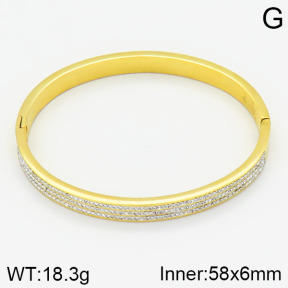 Stainless Steel Bangle  2BA400322ahlv-685