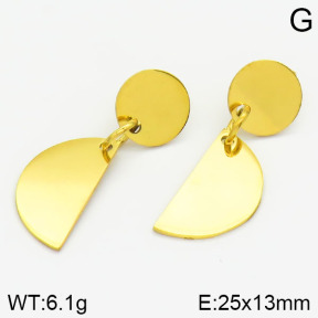 Stainless Steel Earrings  2E2000550bbml-685