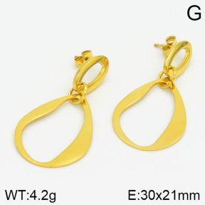 Stainless Steel Earrings  2E2000554bbml-685