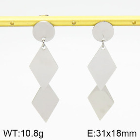 Stainless Steel Earrings  2E2000555vbnb-685
