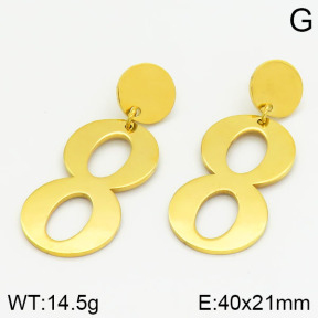 Stainless Steel Earrings  2E2000560bbml-685