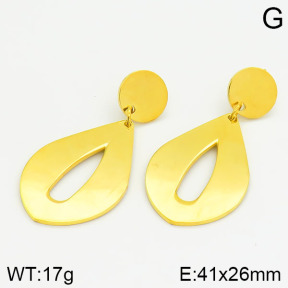 Stainless Steel Earrings  2E2000561bbml-685