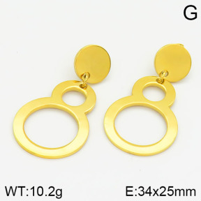 Stainless Steel Earrings  2E2000566bbml-685