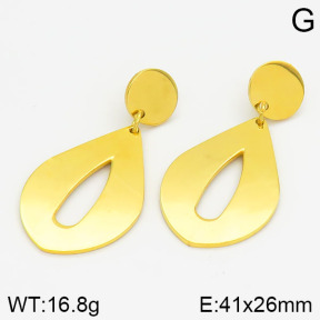 Stainless Steel Earrings  2E2000569bbml-685