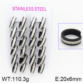Stainless Steel Earrings  2E2000572bokb-387