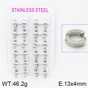 Stainless Steel Earrings  2E2000573akia-387