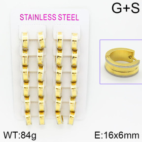 Stainless Steel Earrings  2E2000574amaa-387