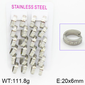 Stainless Steel Earrings  2E2000576bnib-387