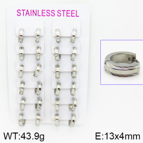 Stainless Steel Earrings  2E2000577akoa-387