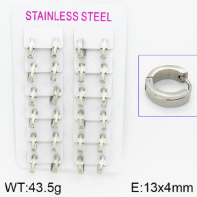 Stainless Steel Earrings  2E2000578akoa-387