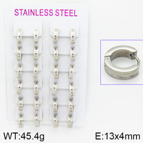 Stainless Steel Earrings  2E2000579akoa-387