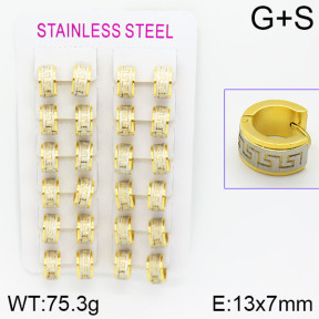 Stainless Steel Earrings  2E2000580alka-387