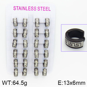 Stainless Steel Earrings  2E2000581alka-387