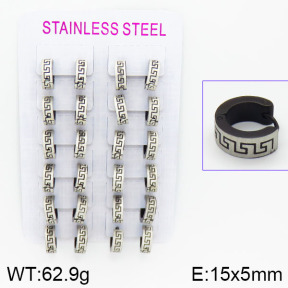 Stainless Steel Earrings  2E2000583bmmb-387