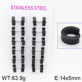 Stainless Steel Earrings  2E2000584alka-387