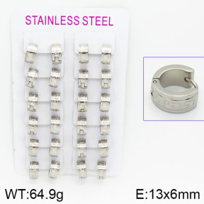 Stainless Steel Earrings  2E2000585akoa-387