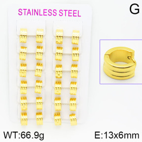 Stainless Steel Earrings  2E2000586alka-387