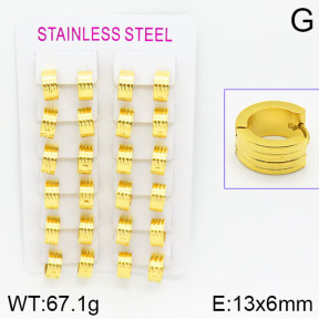 Stainless Steel Earrings  2E2000587alka-387