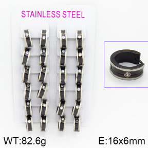 Stainless Steel Earrings  2E4000804bnib-387
