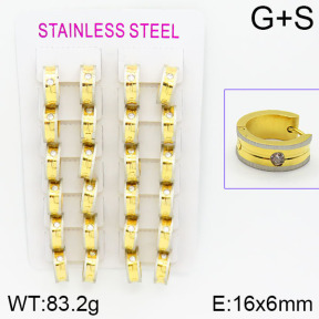 Stainless Steel Earrings  2E4000805bnib-387
