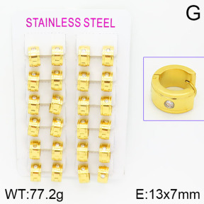 Stainless Steel Earrings  2E4000806amaa-387
