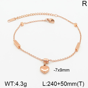 Stainless Steel Anklets  5A9000369vhha-201