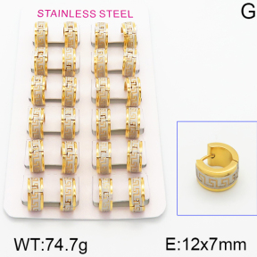Stainless Steel Earrings  5E2001012alka-387
