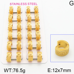 Stainless Steel Earrings  5E2001013alka-387