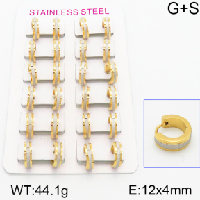 Stainless Steel Earrings  5E2001015alka-387