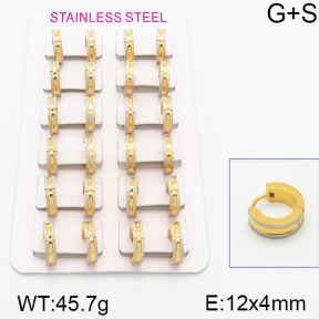 Stainless Steel Earrings  5E2001016alka-387