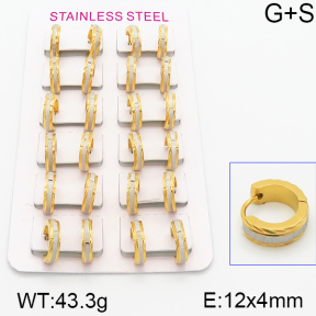 Stainless Steel Earrings  5E2001018alka-387